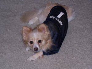 Yes, even our dog, Princess, has a jersey!
